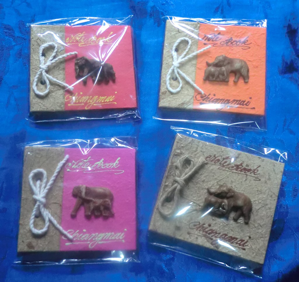 Get your Saa Paper Notebook Today