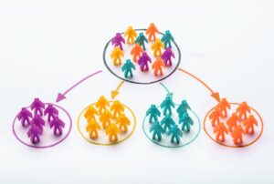 Market Segmentation leads to More Sales