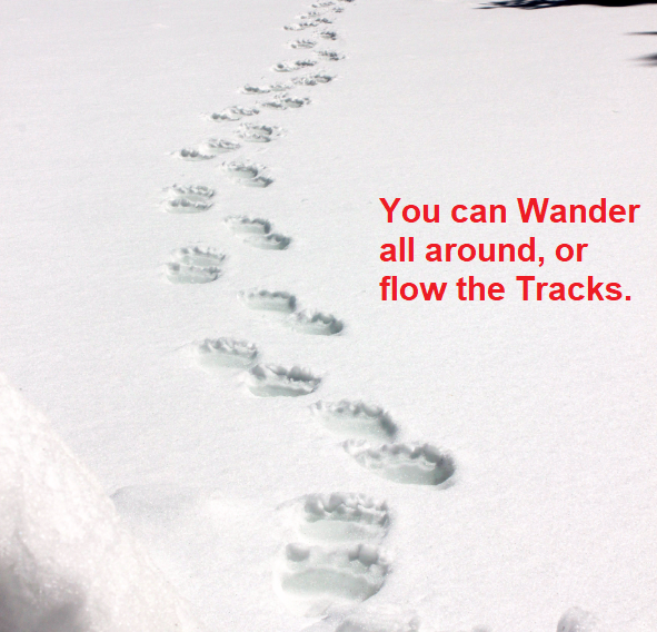 Do you Wander around or do you Follow The Tracks?