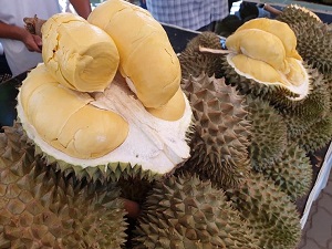 Durian