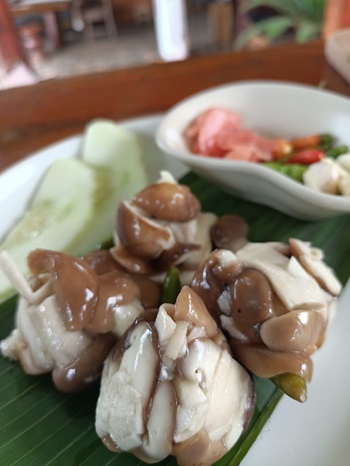 Fermented Mushroom